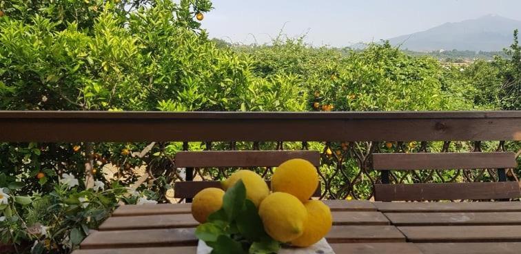Vila L'Aranceto Acireale Exteriér fotografie