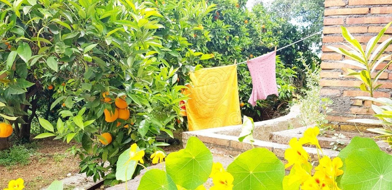 Vila L'Aranceto Acireale Exteriér fotografie