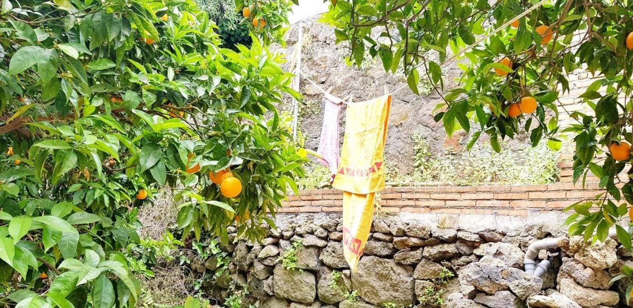 Vila L'Aranceto Acireale Exteriér fotografie
