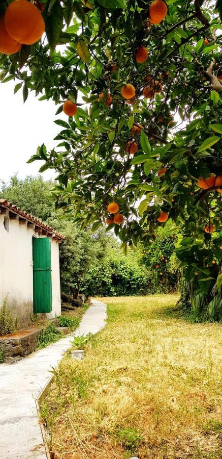 Vila L'Aranceto Acireale Exteriér fotografie