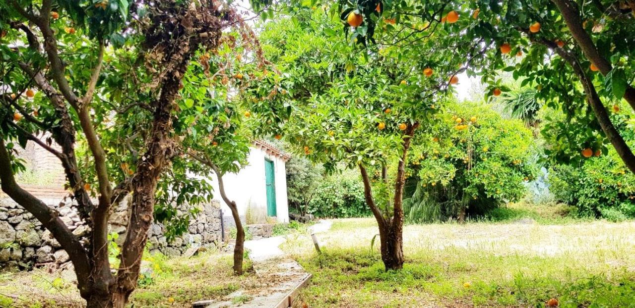 Vila L'Aranceto Acireale Exteriér fotografie